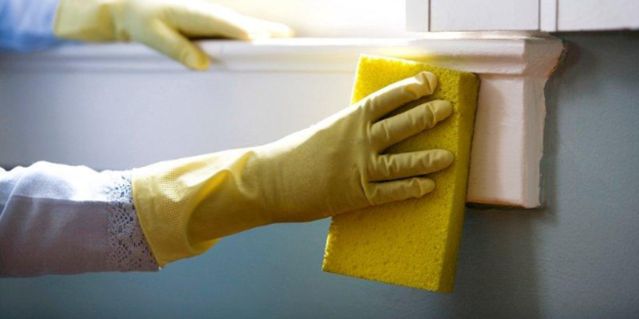 Pinturas Lavables y Duraderas: La Mejor Opción para el Hogar y Oficina | Resistencia y Facilidad de Mantenimiento